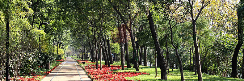 1517986642825012.jpg 20160128165039_88914.jpg