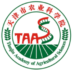 1523590256159949.png d53f8794a4c27d1eb6466cbc17d5ad6eddc43861.jpg.png