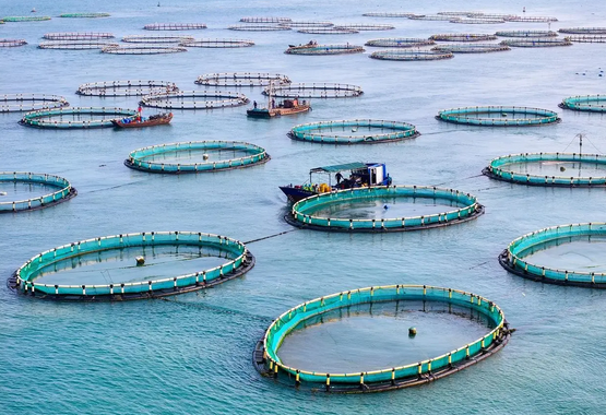 1768035723141524.png 火狐截圖_2026-01-10T09-02-04.961Z.png